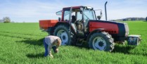Non-salariés agricoles : la retraite anticipée « pénibilité » plus accessible