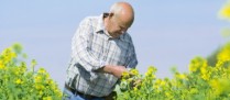 Salariés agricoles : des cotisations de retraite complémentaire plus élevées en 2019