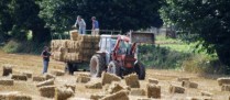 Entreprises agricoles : une réduction des cotisations patronales plus généreuse