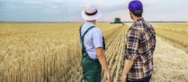 L’obligation de cotiser au régime des non-salariés agricoles