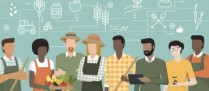 Effectif salarié de l’exploitation agricole : quoi de neuf ?
