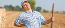 Agriculteurs : dans quel délai déclarer un accident du travail ?