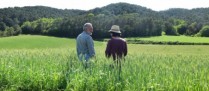 Décès d’un exploitant agricole et option pour une assiette forfaitaire de cotisations