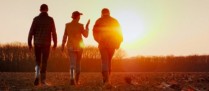 Exploitants agricoles : option pour l’assiette annuelle des cotisations sociales