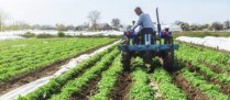 Comment régler vos dettes de cotisations auprès de la MSA ?