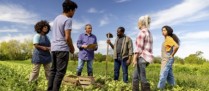 Le recrutement de travailleurs étrangers facilité dans l’agriculture