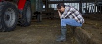 Exploitants agricoles : le dispositif de prêts structurels garantis par l’État est en place