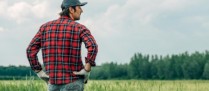 Exploitants agricoles : le dispositif des prêts de consolidation est opérationnel