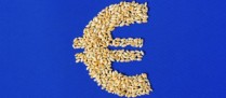 Agriculture : augmentation de plusieurs aides de la Pac au titre de 2024