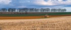 Baux ruraux : légère hausse du montant des fermages