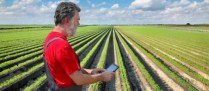 Bail rural : attention aux conditions d’exercice du droit de reprise !