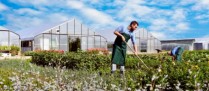 Cotisations sociales 2016 des exploitants agricoles