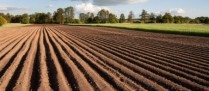 Vente de la nue-propriété et de l’usufruit d’un bien agricole